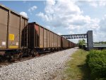 SCWX 09022 
